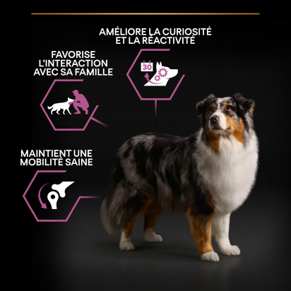 PRO PLAN Chien Medium&Large Adult 7+ Age Defence Poulet 14KG