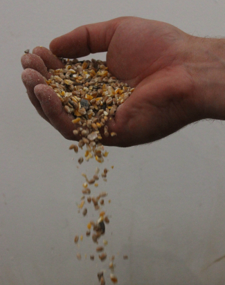 ROULE MA POULE 20 kg