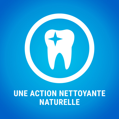 DENTALIFE Mini 7 Friandises