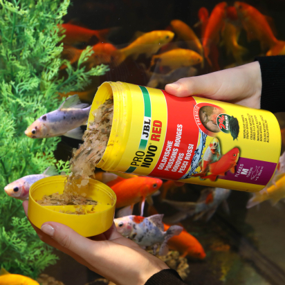 JBL PRONOVO RED FLAKES M 1000ML - Flocons pour poissons rouges en aquarium