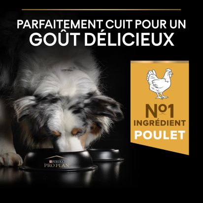 PRO PLAN Chien Medium Adult Everyday Nutrition Poulet 14KG