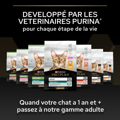 Pro Plan Kitten 1-12 mois HEALTHY START Poulet 3kg