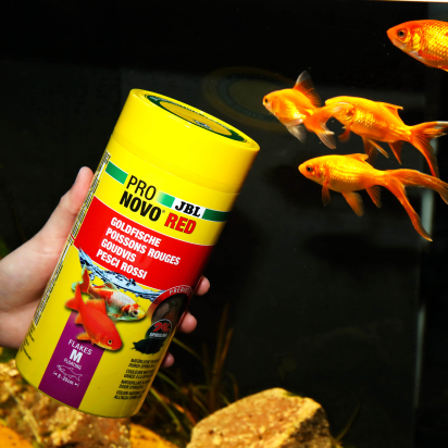 JBL PRONOVO RED FLAKES M 1000ML - Flocons pour poissons rouges en aquarium