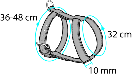 Harnais avec laisse Harms Noir & Rouge