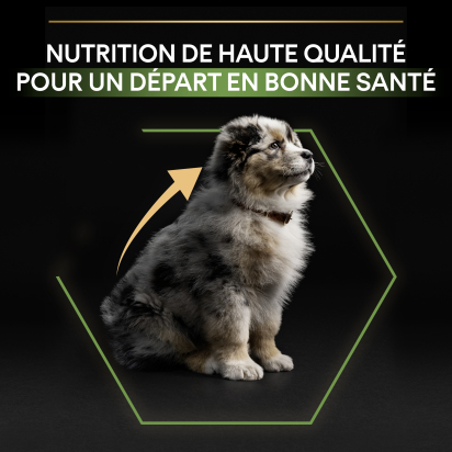 PRO PLAN Chien Medium Puppy Healthy Start  Poulet 12KG