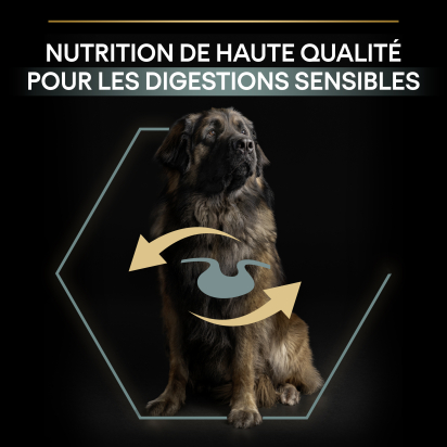 PRO PLAN Chien Large Adult Robust Sensitive Digestion Agneau 14KG