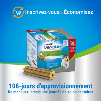 DENTALIFE Mini Maxi Pack 21 Friandises