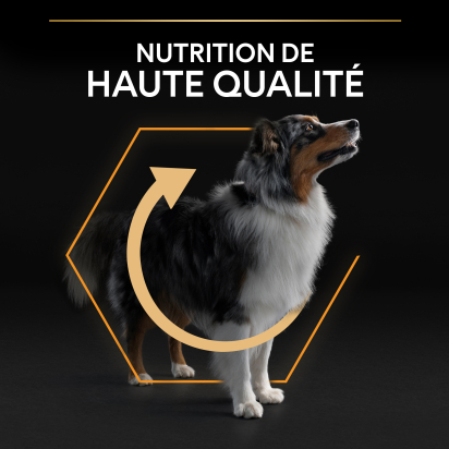PRO PLAN Chien Medium Adult Everyday Nutrition Poulet 14KG