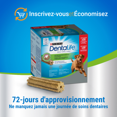 DENTALIFE Maxi Maxi Pack 12 Friandises