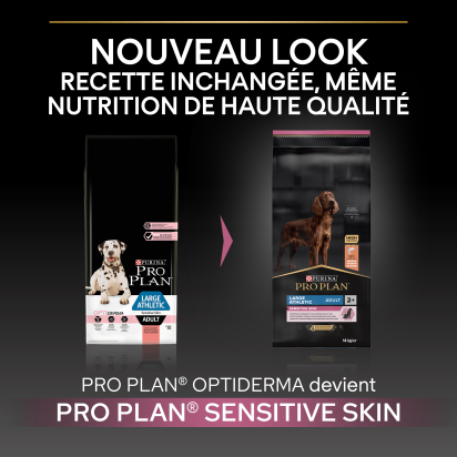 PRO PLAN Chien Large Adult Athletic Sensitive Skin Saumon 14KG