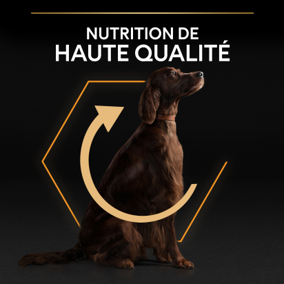 PRO PLAN Chien Large Adulte Athletic Everyday Nutrition Poulet 14KG