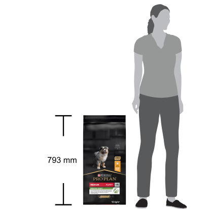 PRO PLAN Chien Medium Puppy Healthy Start  Poulet 12KG