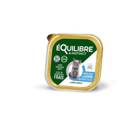 Mousses riches en saumon & aux carottes pour CHATON