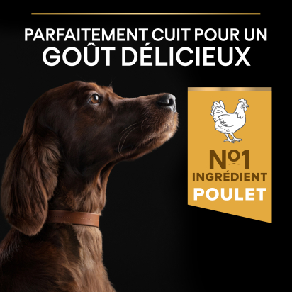 PRO PLAN Chien Large Adulte Athletic Everyday Nutrition Poulet 14KG