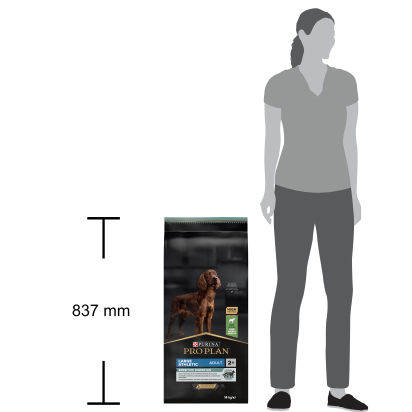 PRO PLAN Chien Large Adult Athletic Sensitive Digestion Agneau 14KG