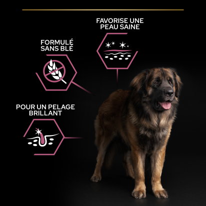 PRO PLAN Chien Large Adult Robust Sensitive Skin Saumon 14KG