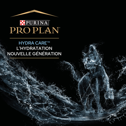 PRO PLAN Chat Hydra Care 10x85g