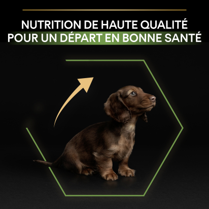 PRO PLAN Chien Small&Mini Puppy Healthy Start Poulet 3KG