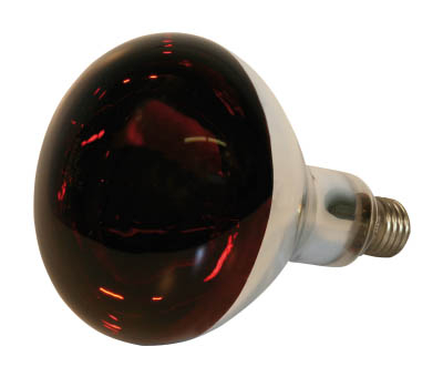 Kerbl Lampe infrarouge en verre