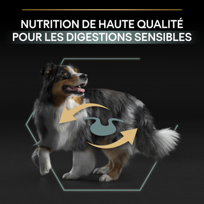 PRO PLAN Chien Medium Adult Sensitive Digestion Agneau 14KG