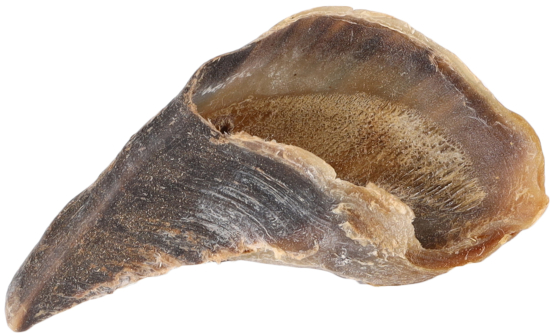 Friandises Nature Sabot de vache