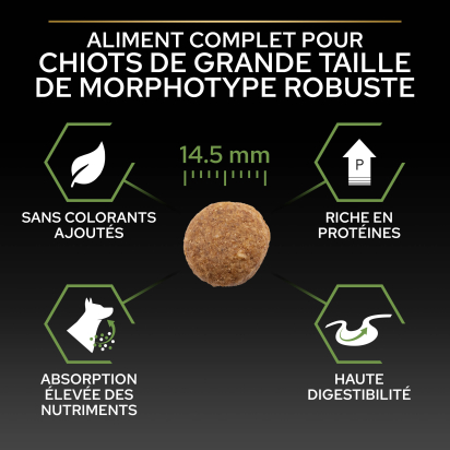 PRO PLAN Chien Large Robust Puppy Healthy Start Poulet 12KG