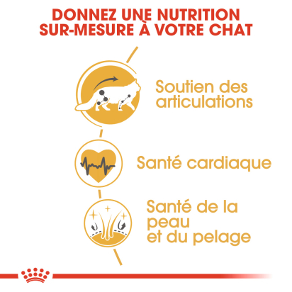 ROYAL CANIN MAINE COON ADULT CHAT A PARTIR DE 15 MOIS 4KG