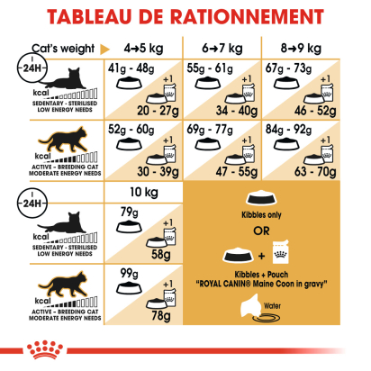 ROYAL CANIN MAINE COON ADULT CHAT A PARTIR DE 15 MOIS 4KG