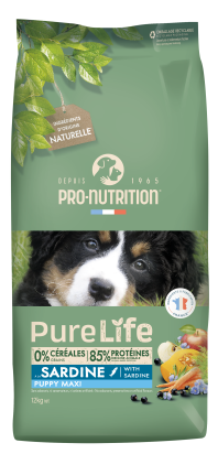 Pure Life chien Puppy Maxi 12kg