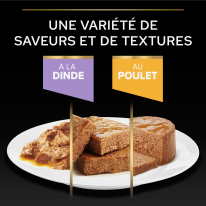 PRO PLAN Kitten HEALTHY START Dinde Sauce Pochons 10x85g