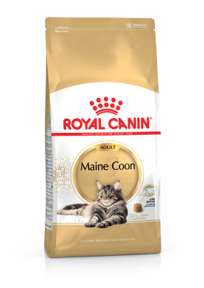 ROYAL CANIN MAINE COON ADULT CHAT A PARTIR DE 15 MOIS 4KG
