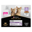 PRO PLAN Kitten HEALTHY START Dinde Sauce Pochons 10x85g