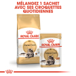 ROYAL CANIN MAINE COON ADULT CHAT A PARTIR DE 15 MOIS 4KG