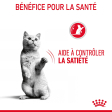 ROYAL CANIN APPETITE CONTROL SAUCE CHAT ADULTE FAVORISE LA SATIETE
12x85gr 