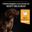 PRO PLAN Chien Small&Mini Puppy Healthy Start Poulet 3KG