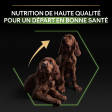 PRO PLAN Chien Large Puppy Athletic Healthy Start Poulet 12KG