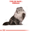 ROYAL CANIN PERSIAN ADULT PERSAN A PARTIR DE 12 MOIS 4KG