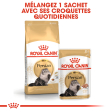 ROYAL CANIN PERSIAN ADULT PERSAN A PARTIR DE 12 MOIS 4KG
