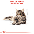 ROYAL CANIN MAINE COON ADULT CHAT A PARTIR DE 15 MOIS 4KG
