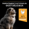 PRO PLAN Chien Medium Puppy Healthy Start Poulet 3KG