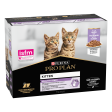 PRO PLAN Kitten HEALTHY START Dinde Sauce Pochons 10x85g
