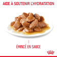 ROYAL CANIN APPETITE CONTROL SAUCE CHAT ADULTE FAVORISE LA SATIETE
12x85gr 