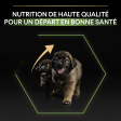 PRO PLAN Chien Large Robust Puppy Healthy Start Poulet 12KG