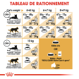 ROYAL CANIN MAINE COON ADULT CHAT A PARTIR DE 15 MOIS 4KG