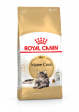 ROYAL CANIN MAINE COON ADULT CHAT A PARTIR DE 15 MOIS 4KG