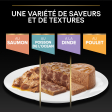 PRO PLAN Chat ADULT MAINTENANCE - Terrine riche en Poulet - 85g
