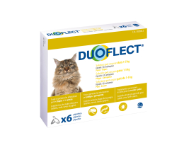 DUOFLECT® solution pour spot-on pour chats de 0.5-5 kg - 6 pipettes