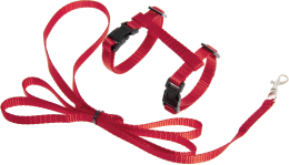 Harnais avec laisse Chaton Ziggi Rouge