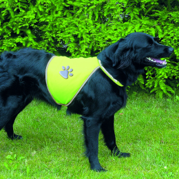 Gilet de sécurité, réfléchissant