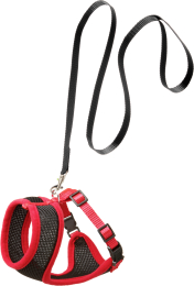 Harnais avec laisse Chaton Harms Noir & Rouge